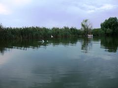 Doar ... NATURA  - 2